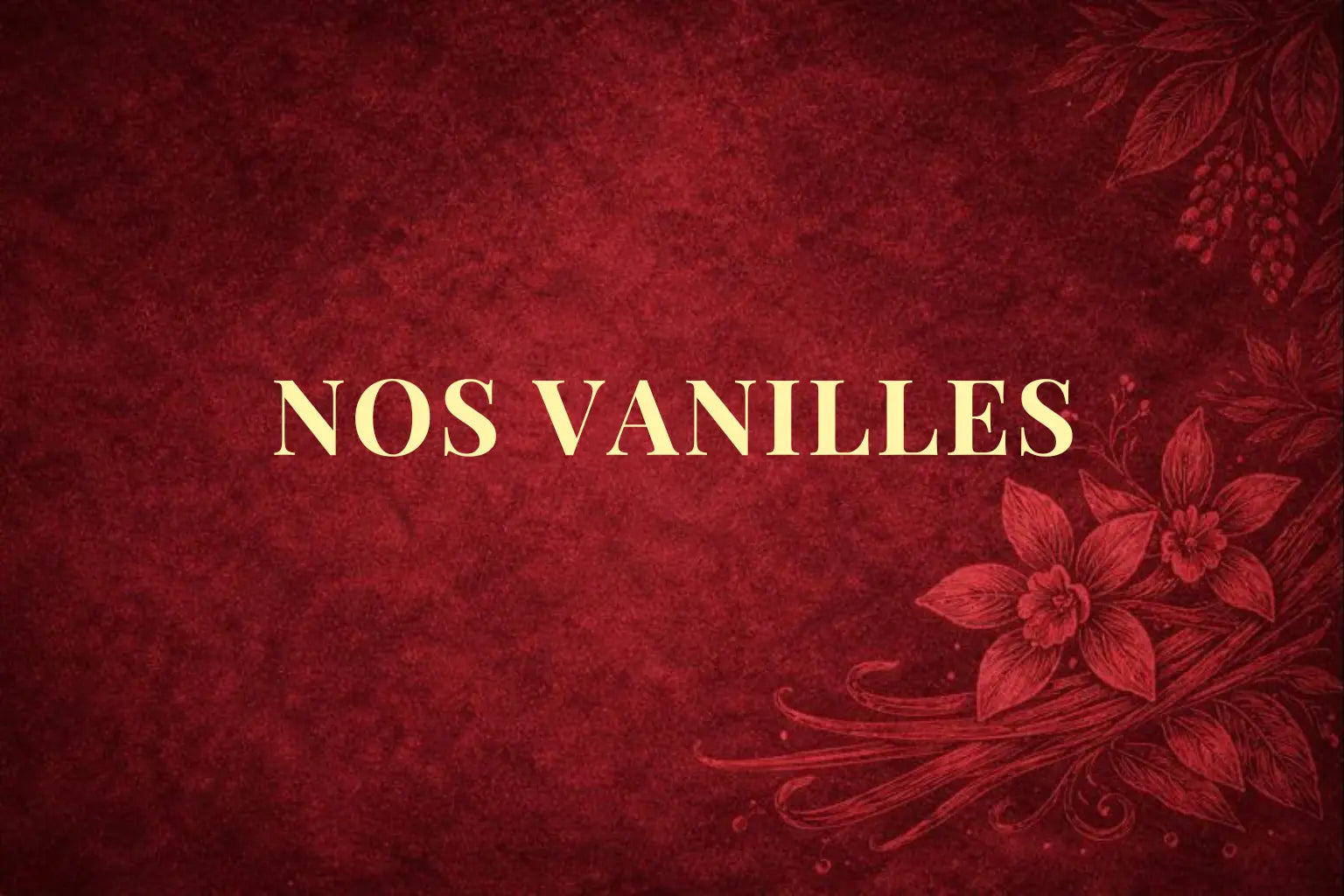 Image de nos vanilles- Lopices 