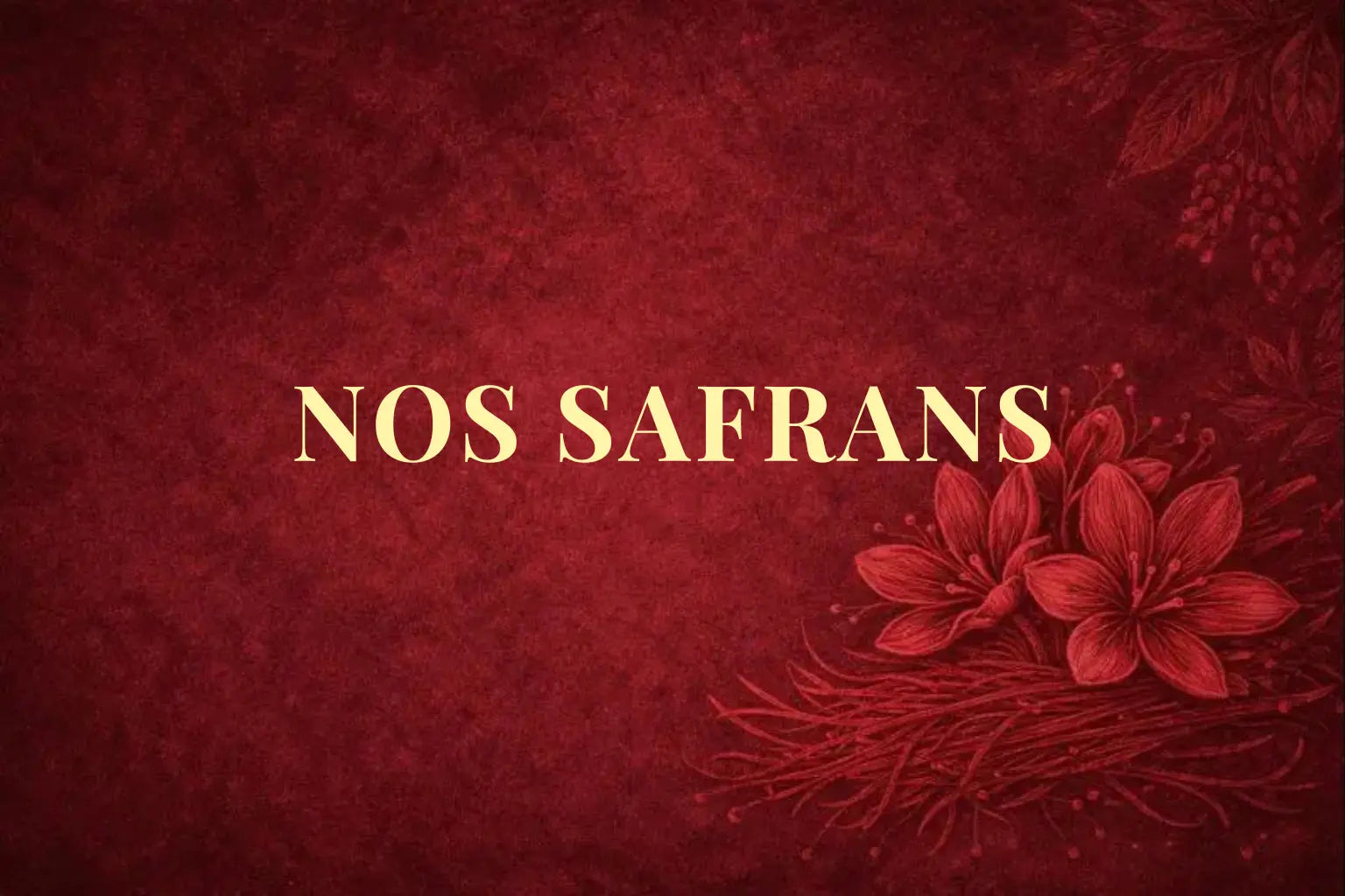 Image de nos safrans - Lopices