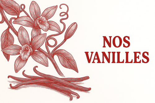 Nos vanilles