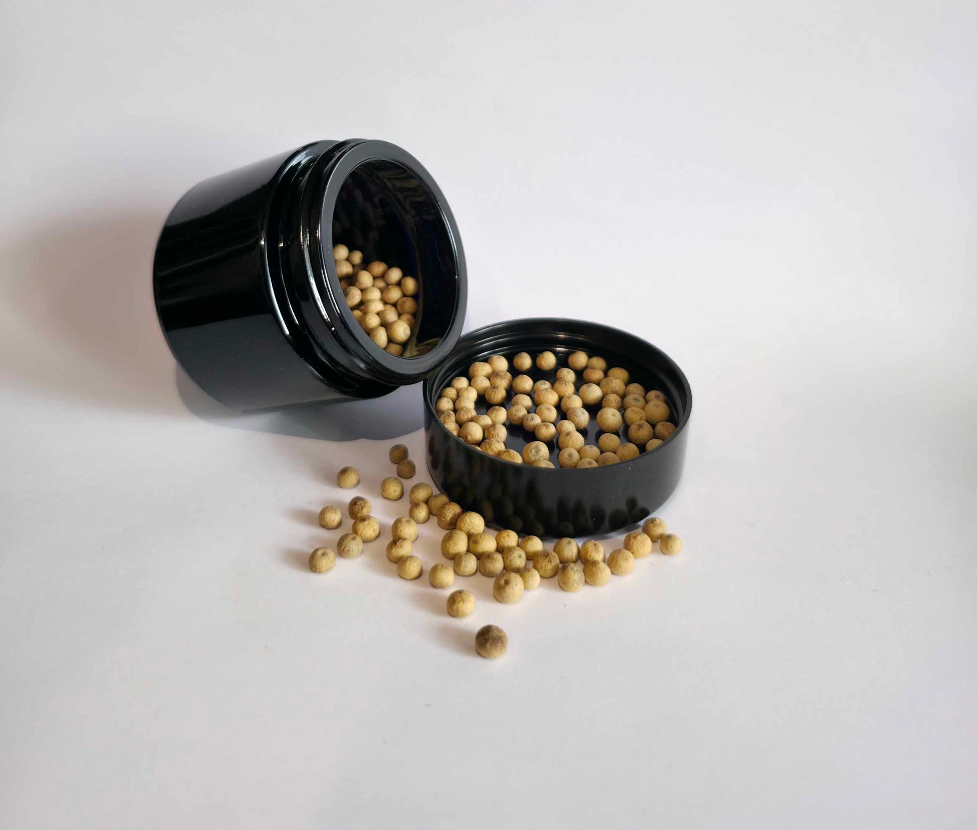 poivre-blanc-kampot-grains-cambodge-02