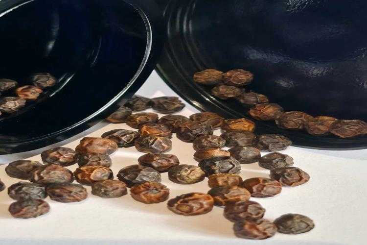 Poivre noir de Kampot - Lopices