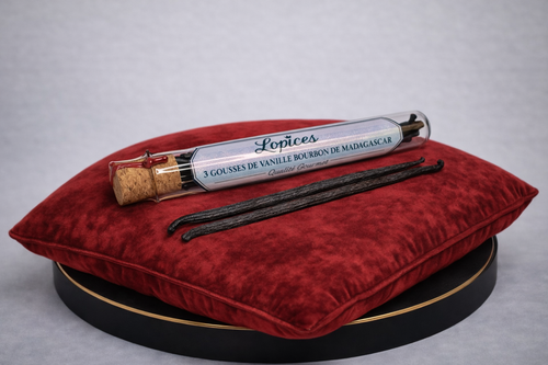 Gousses de vanille Bourbon de Madagascar – qualité gourmet